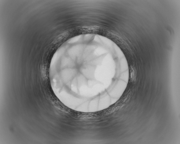 X0000110970819200907310927
