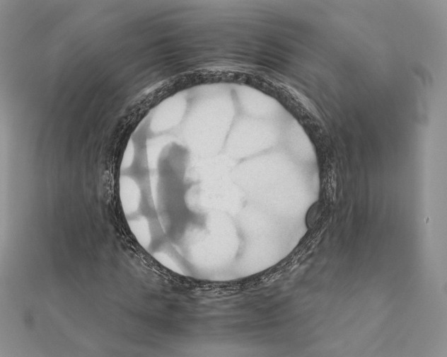 X0000110970821200907310927