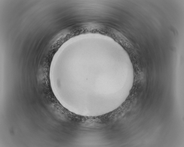 X0000110970824200907310927