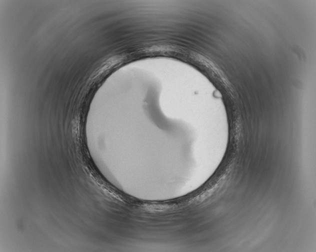 X0000110970825200907310927