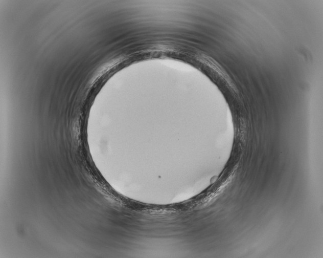 X0000110970826200907310927