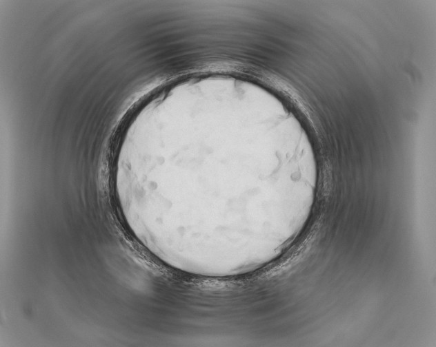 X0000110970827200907310927