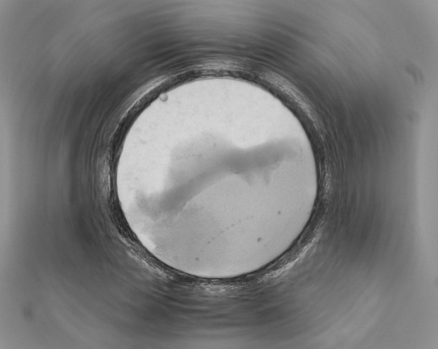 X0000110970829200907310927