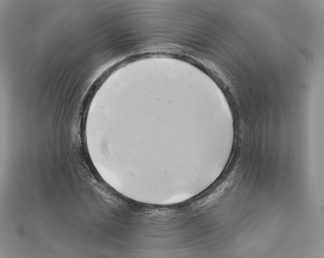 X0000110970830200907310927