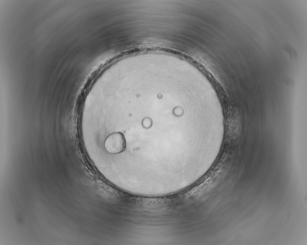 X0000110970832200907310927