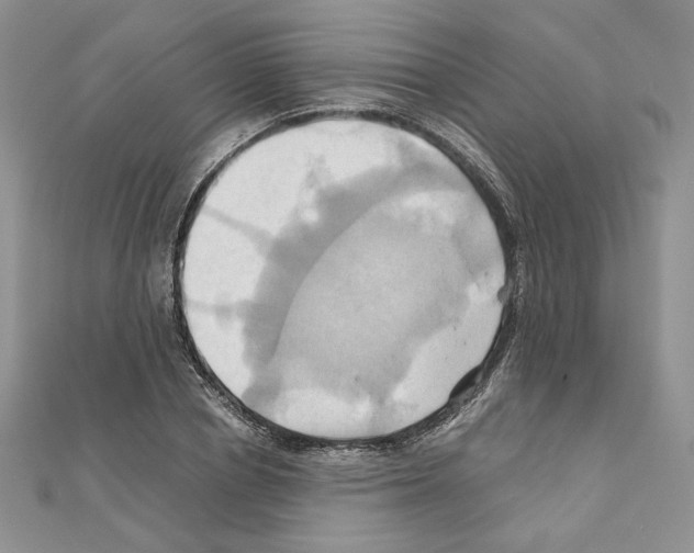X0000110970834200907310927