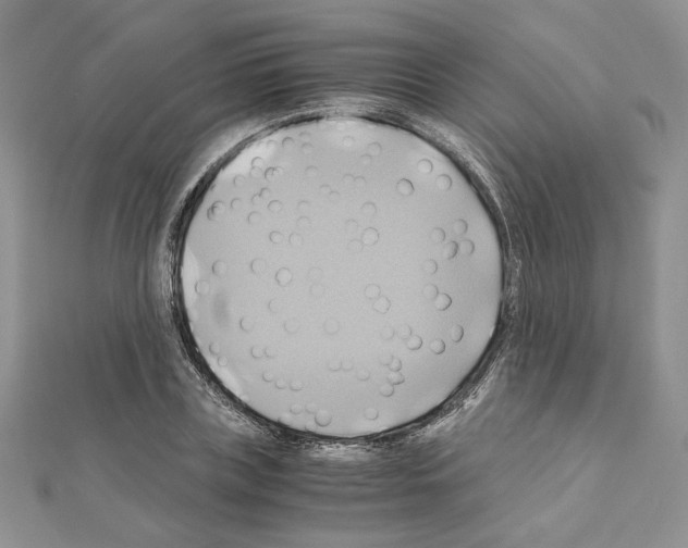 X0000110970835200907310927