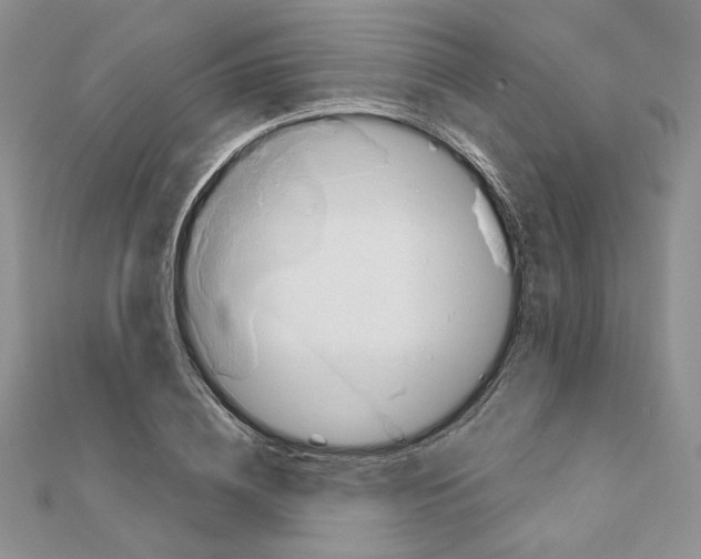X0000110970836200907310927