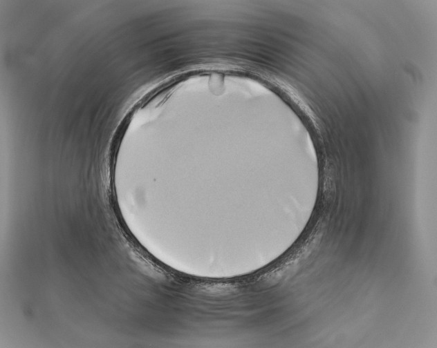 X0000110970837200907310927