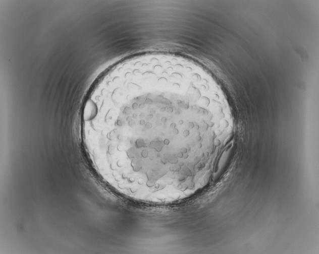 X0000110970838200907310927
