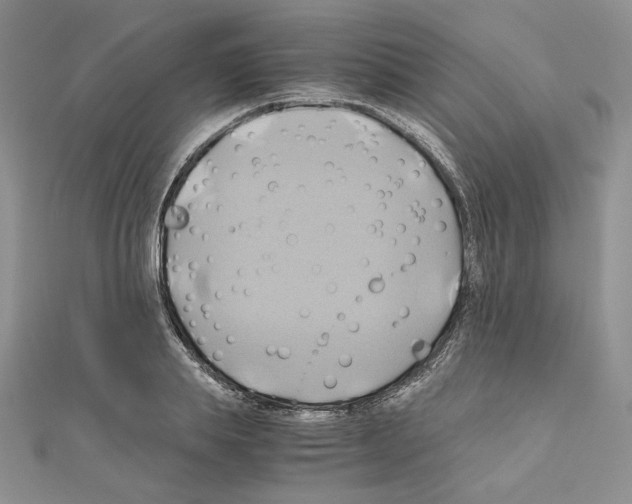 X0000110970839200907310927