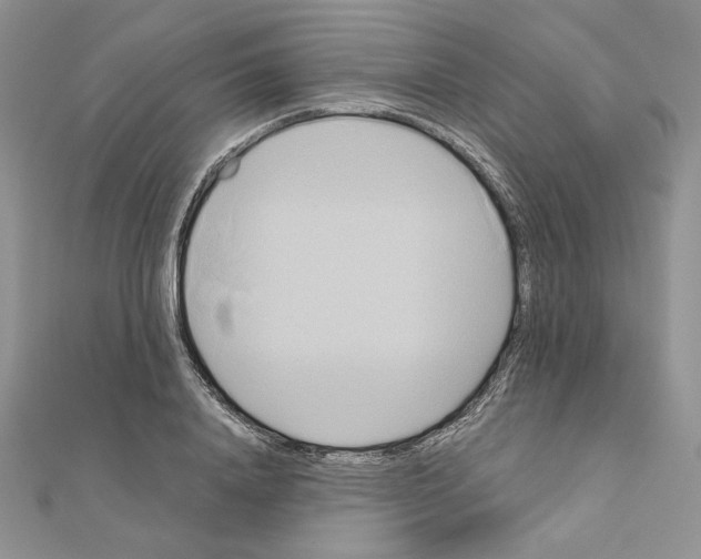 X0000110970840200907310927
