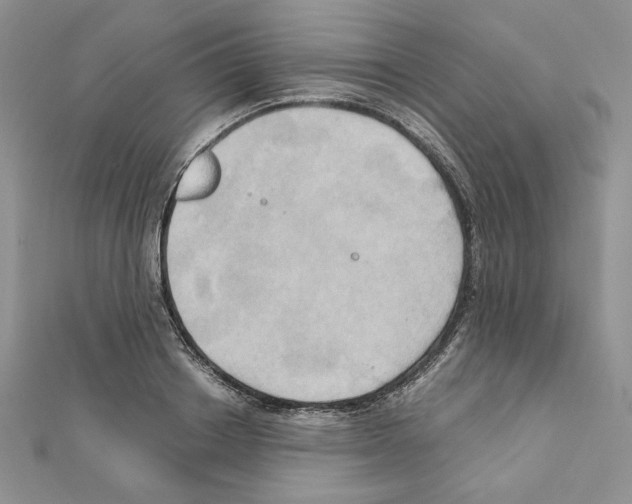 X0000110970842200907310927