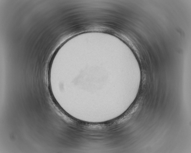 X0000110970843200907310927