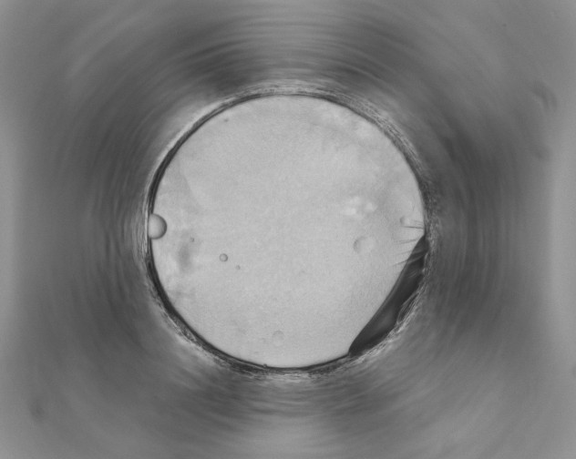 X0000110970844200907310927