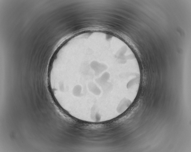 X0000110970845200907310927