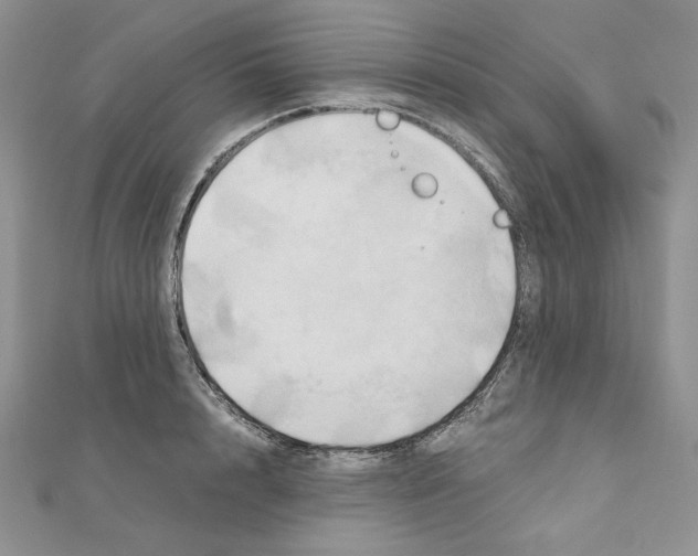 X0000110970848200907310927