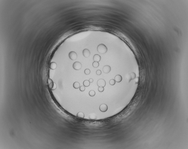 X0000110970851200907310927