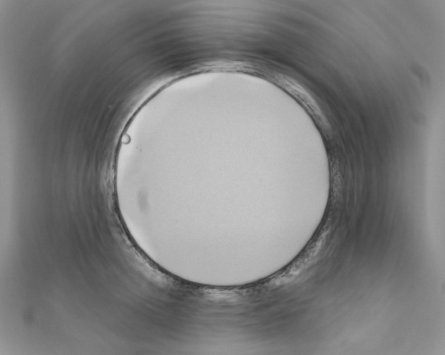 X0000110970852200907310927