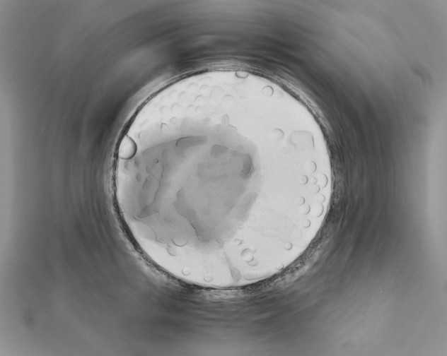X0000110970853200907310928