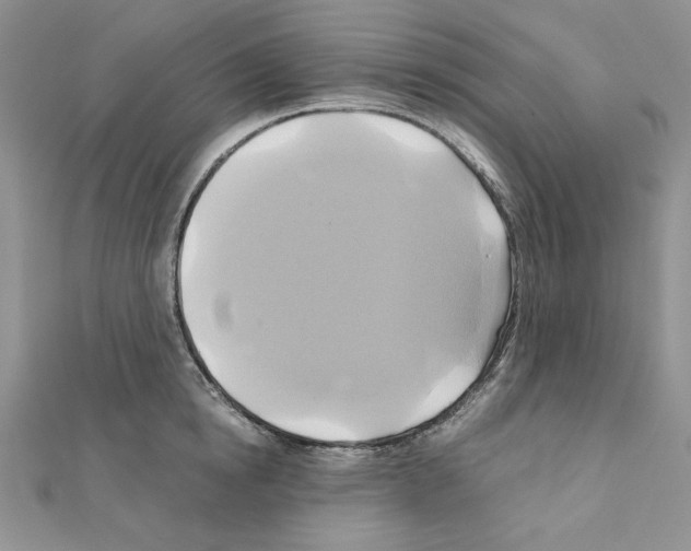 X0000110970854200907310928