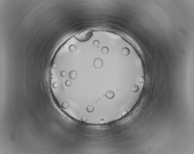 X0000110970855200907310928