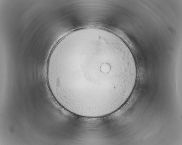 X0000110970856200907310928