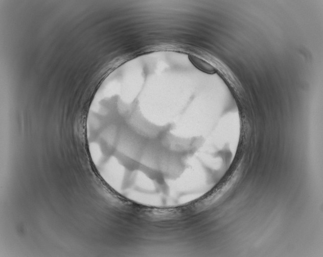 X0000110970857200907310928