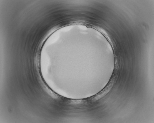 X0000110970859200907310928