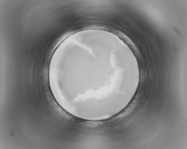 X0000110970860200907310928