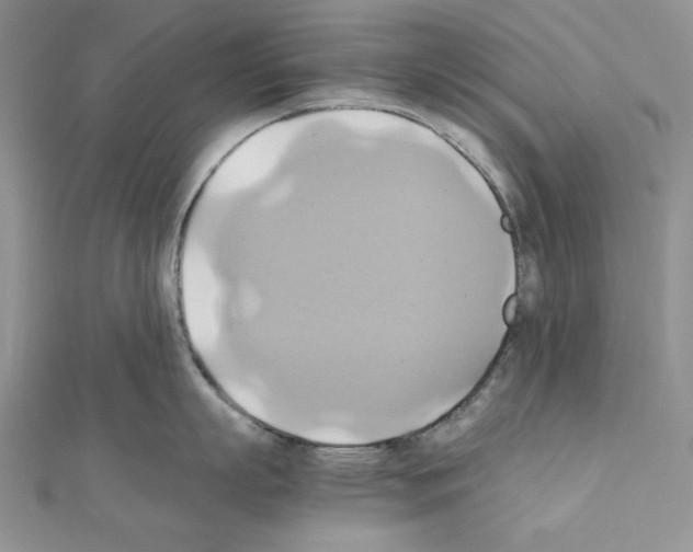 X0000110970863200907310928