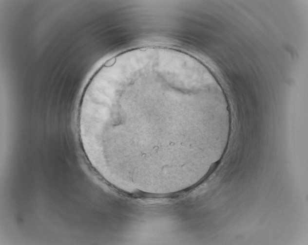 X0000110970864200907310928