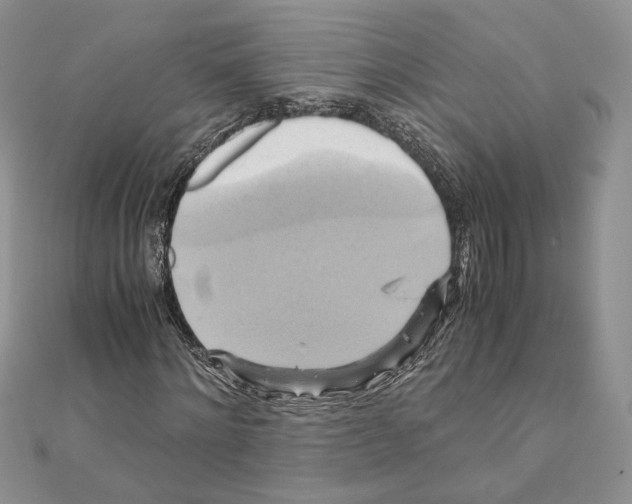 X0000110970868200907310927