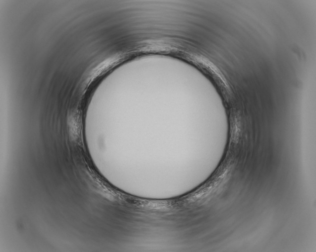 X0000110970874200907310927