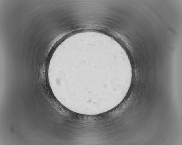 X0000110970875200907310927