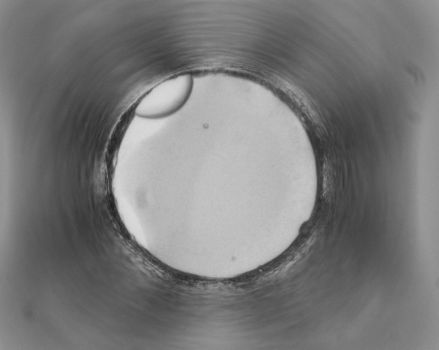 X0000110970876200907310927