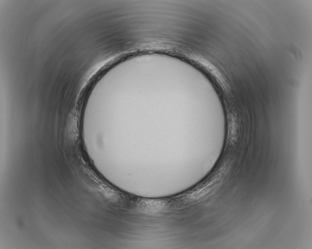 X0000110970878200907310927