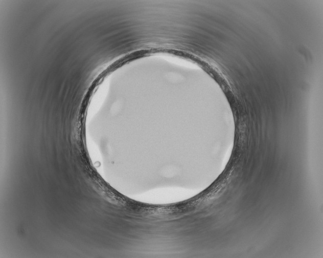 X0000110970879200907310927