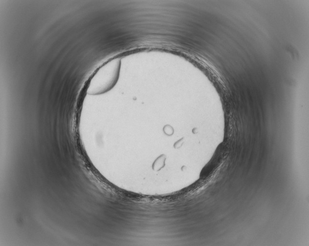 X0000110970880200907310927
