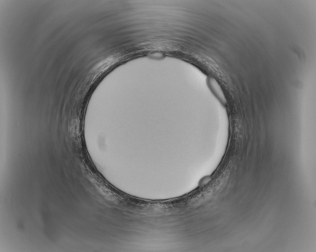 X0000110970881200907310927