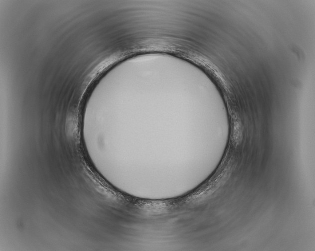 X0000110970882200907310927