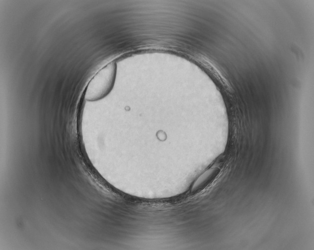 X0000110970884200907310927