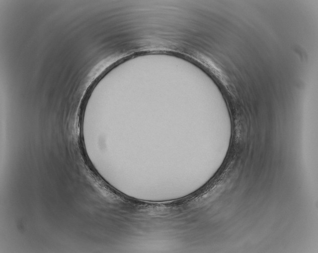 X0000110970885200907310927