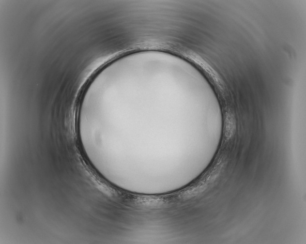 X0000110970886200907310927