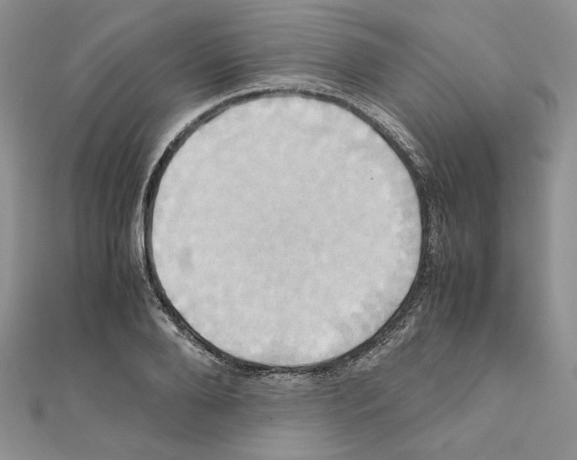 X0000110970888200907310927