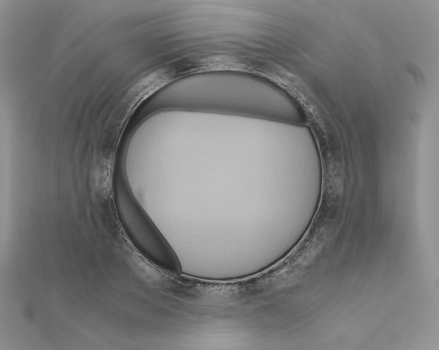 X0000110970889200907310927
