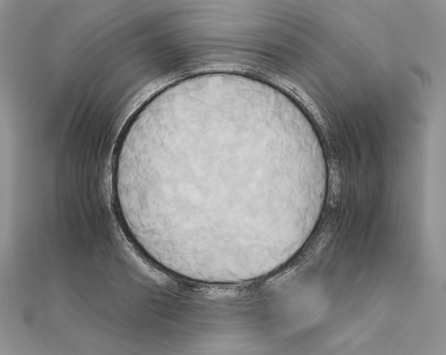 X0000110970890200907310927
