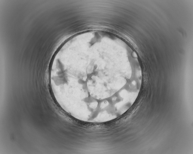 X0000110970891200907310927