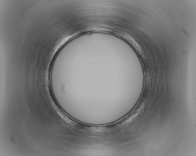 X0000110970893200907310927