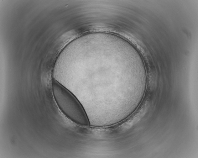 X0000110970897200907310927